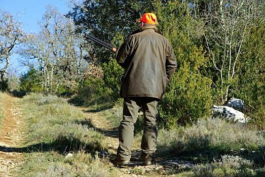 Охотников Югры просят убрать из леса капканы