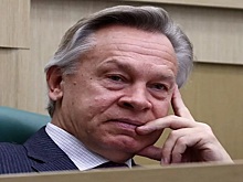 Российский сенатор рассказал о провале американской делегации на G20
