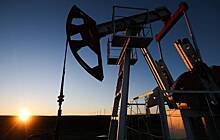 Названы риски для России из-за обвала нефти