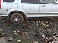 Можно ли буксовать по распутице на автомобиле с коробкой-автомат?