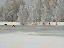 Костромские спасатели ползли 300 метров, чтобы вытащить упавшую под лед лосиху