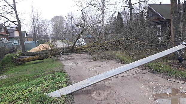 В Тверской области в офисе врача общей практики устраняют последствия урагана