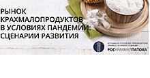 Крахмалопаточная отрасль ищет новые рынки сбыта и применения продукции