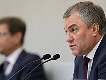 Благодаря Володину 29 многодетных саратовских семей получат квартиры
