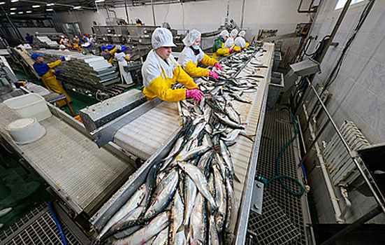 Росрыболовство отметило снижение оптовых цен на сельдь