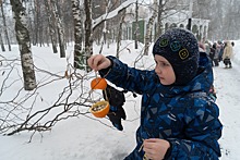 Экологическая акция для школьников «Покормите птиц» прошла в Нижнем Новгороде