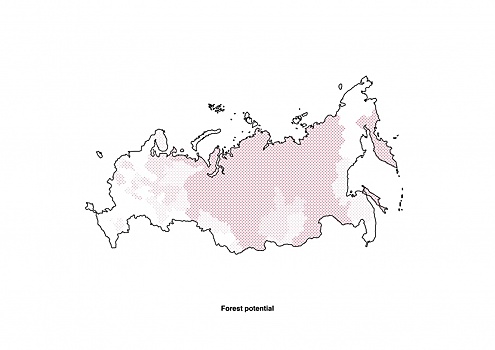 Доступное, устойчивое, своё. Как улучшить жилищные условия в России при помощи дерева?