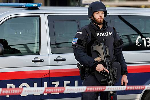 Появились подробности о заживо сожженном в Вене украинце