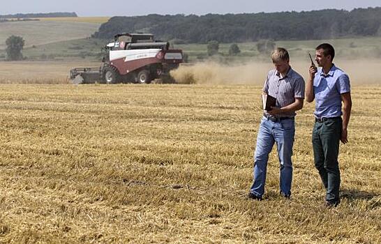 Экономист объяснил, какие факторы сдерживают рост сельского хозяйства