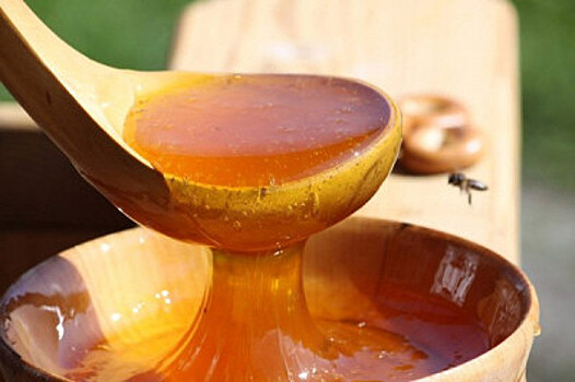 В США узнали, как мед и креветки могут защитить от инфаркта