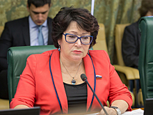 Талабаева поддержала продажу субсидируемых авиабилетов в Интернете