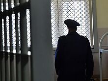В Новгородской области задержали сбежавшего из изолятора в Истре