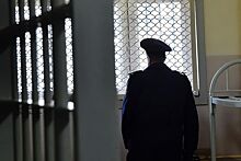 В Новгородской области задержали сбежавшего из изолятора в Истре