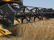 Россия может стать крупнейшим в мире экспортером сельхозпродукции