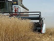 Поправка на климат