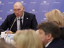 В Госдуме оценили идею раздавать авиабилеты бесплатно