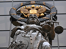 «От Средневековья надо уходить»: в СПЧ поддержали предложение Москальковой не сажать в «клетки» некоторых обвиняемых