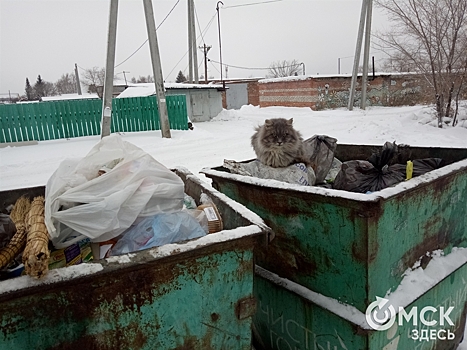 В Омске определили тариф на вывоз мусора