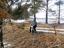 Найдено объяснение странному лесному феномену