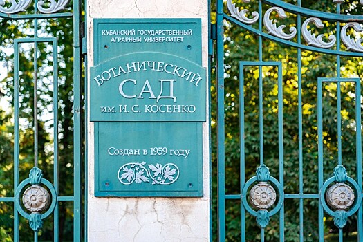 Ботанический сад в Краснодаре закроют для посетителей из-за штормового предупреждения
