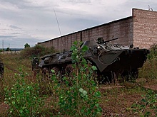 Подавить «боевиков» и захватить здание: в трех регионах России прошло специальное учение инженеров ЦВО