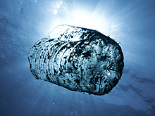 Россиянам объяснили необходимость запрета пластика