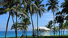 Россиянка рассказала, с чем столкнулась в отеле на Кубе