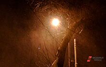 Жителей Свердловской области предупредили о снеге, метели и сильном ветре