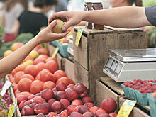 Ученые подсчитали, сколько бактерий содержит яблоко