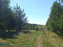 В Пензенской области ввели режим повышенной готовности