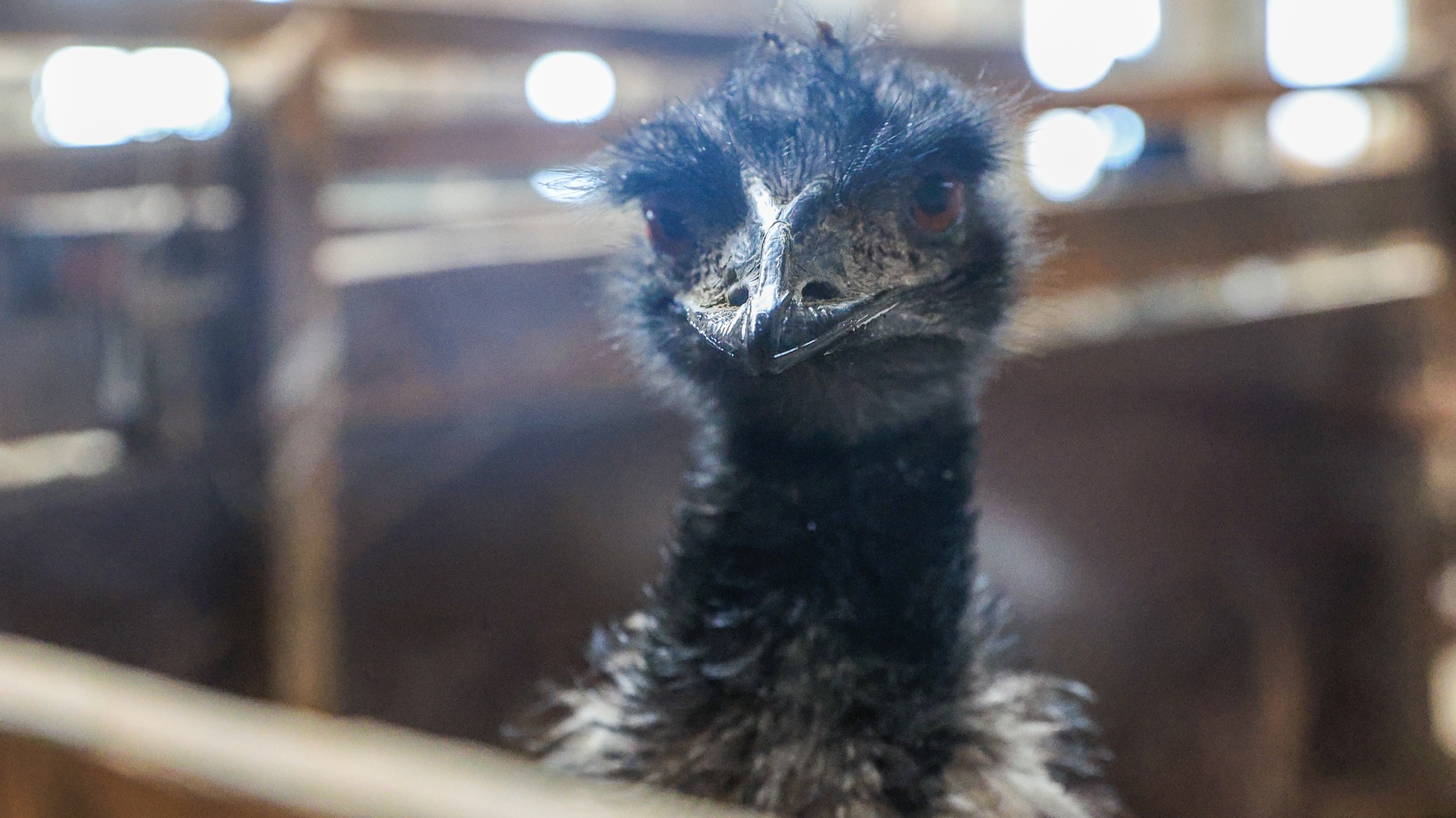 �������,&nbsp; ���������� ������������ ���� ����������, ������ 7������