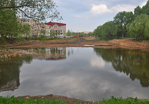 Владимирцы предпочли пруды паркам и скверам