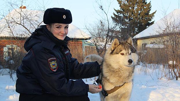 В Кемеровской области инспектор ПДН спасла от стаи бродячих собак и выходила раненого хаски