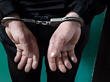 Суд арестовал третьего подозреваемого в убийстве аниматоров на Кубани