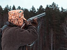 На юге Нижегородской области открывается охота на селезня