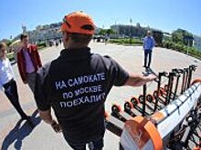 Путин подписал указ о запрете сотрудникам ГИБДД снимать номера с машин