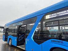 Единая цена для метро и автобусов установится в Петербурге с августа