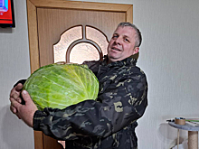 Капустный рекорд РФ 2025 года установлен в Новосибирской области