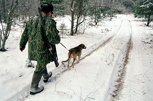 Государству предложили следить за результатами работы охотничьих хозяйств