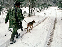 Государству предложили следить за результатами работы охотничьих хозяйств