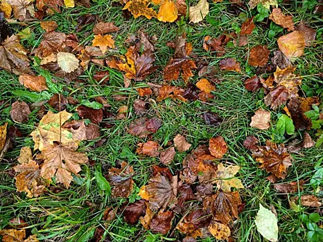 В Самаре собрали 18 кубометров мусора и веток во время уборки Ленинском районе