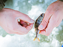 Приметы и поверья на 30 марта: что нельзя делать в день Алексея Теплого