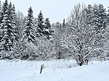 Четверг будет снежным