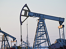 Поставки российской нефти по «Дружбе» в Чехию остановились