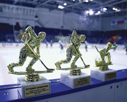 В Уфе прошёл хоккейный турнир среди команд МВД Башкортостана