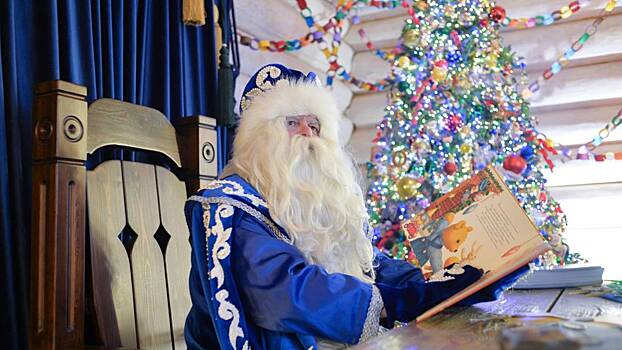 В Москве растет спрос на услуги Деда Мороза и Снегурочки