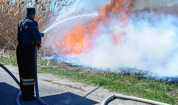 Под Волгоградом в рабочем поселке загорелся камыш