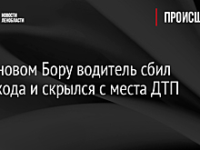 В Сосновом Бору водитель сбил пешехода и скрылся с места ДТП