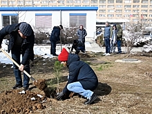 Пациенты волжского уронефрологического центра высадили деревья