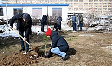 Пациенты волжского уронефрологического центра высадили деревья